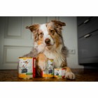 Hund Hundefutter Nassfutter Schäfers Pfanne 810g 6 Stück -6- Anifit