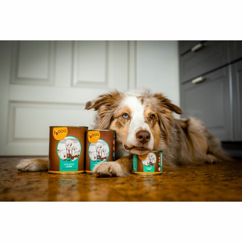 Hund Hundefutter Nassfutter RyDog Vitalmenü Lamm 400g 6 Stück -6- Anifit