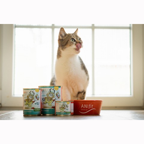 Katze Nassfutter Nautilus Ragout 810g 6 Stück -3- Anifit